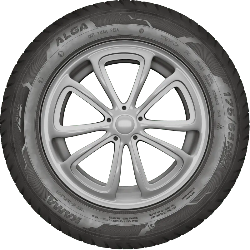 KAMA ALGA (НК-531) нешип в Темникове — KAMA TYRES KAMA ALGA (НК-531) нешип в Темникове